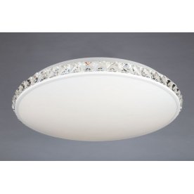 Потолочный светильник OML-454 OML-45407-60