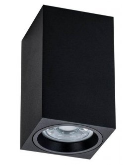 Потолочный светильник C011CL-01B