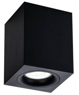 Потолочный светильник C013CL-01B