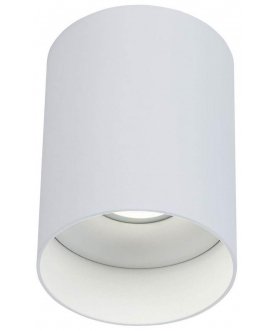 Потолочный светильник C014CL-01W