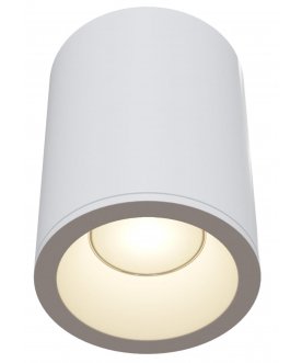 Потолочный светильник Antares C029CL-01W