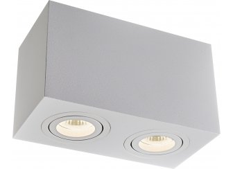 Потолочный светильник C017CL-02W