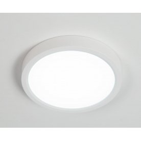 Потолочный светильник Бейсик CL738120N