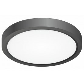 Потолочный светильник Бейсик CL738121N