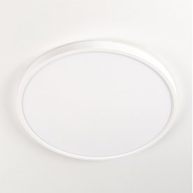 Потолочный светильник Бейсик CL738320V