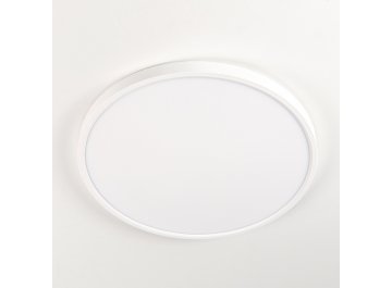 Потолочный светильник Бейсик CL738320V