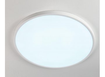 Потолочный светильник Бейсик CL738400V