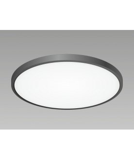 Потолочный светильник Бейсик CL738401V