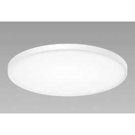 Потолочный светильник Бейсик CL738500V