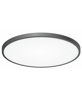 Потолочный светильник Бейсик CL738501V