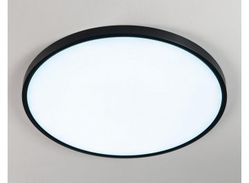 Потолочный светильник Бейсик CL738501V