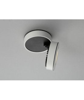 Потолочный светильник OML-101909-12