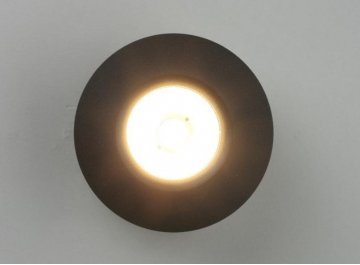 Потолочный светильник OML-101919-12