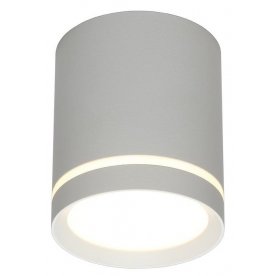 Потолочный светильник OML-102429-05