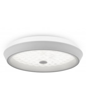 Потолочный светильник FR10012CL-L24W