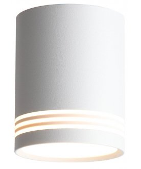 Потолочный светильник Cerione