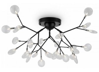 Потолочный светильник FR5049CL-27B