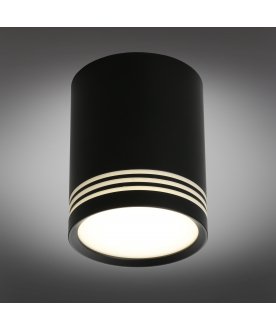 Потолочный светильник Fortezza OML-100119-12