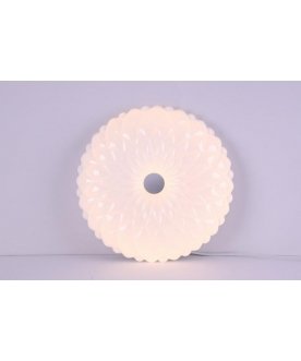 Потолочный светильник LBS-1005