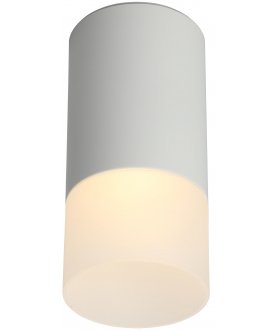 Потолочный светильник Lucido OML-100609-01