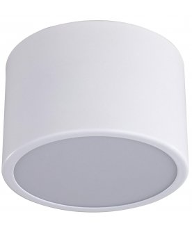 Потолочный светильник 05510,01