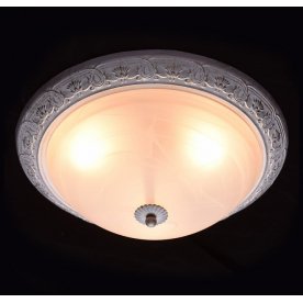 Потолочный светильник Ариадна 5 450013703