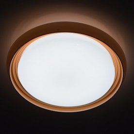 Потолочный светильник Ривз 7 674011801