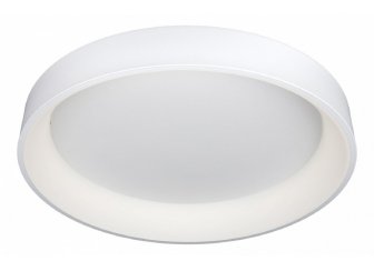 Потолочный светильник OML-48507-96