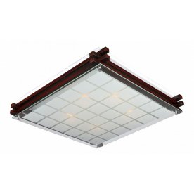 Потолочный светильник OML-40507-05