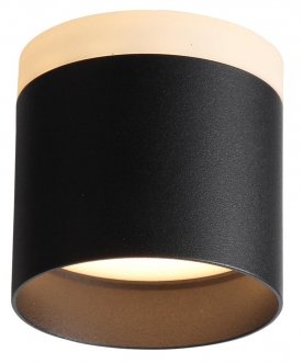 Потолочный светильник Panaggio