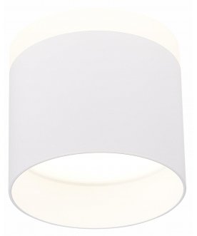 Потолочный светильник ST102.542.12