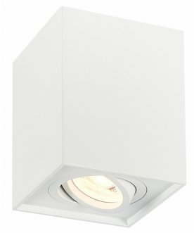 Потолочный светильник ST109.507.01