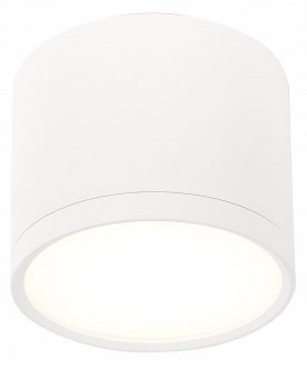 Потолочный светильник ST113.542.09