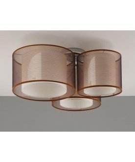 Потолочный светильник V10623-3C