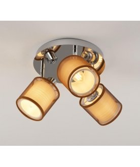 Потолочный светильник V10627-3C