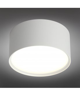 Потолочный светильник Salentino OML-100909-12