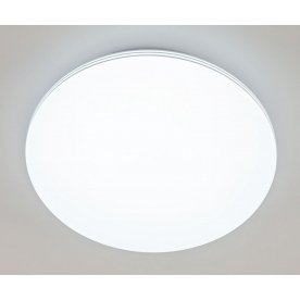 Потолочный светильник CL714480G