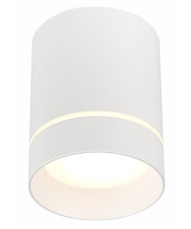 Потолочный светильник ST115.532.12