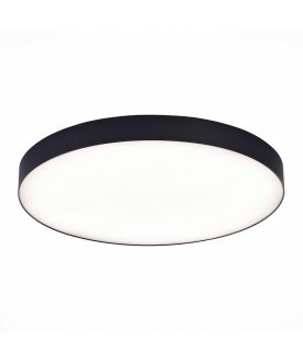 Потолочный светильник ST606.442.96