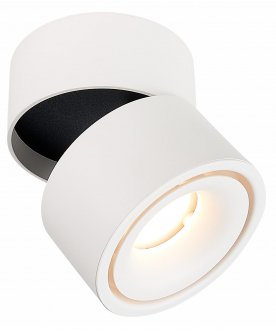 Потолочный светильник ST652.532.12