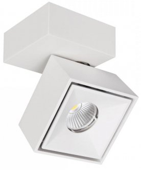 Потолочный светильник CL558020N