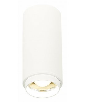 Потолочный светильник ST600.542.10