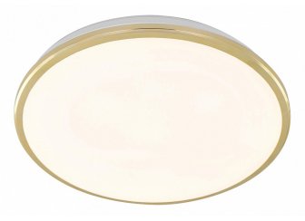 Потолочный светодиодный светильник Луна CL702302W