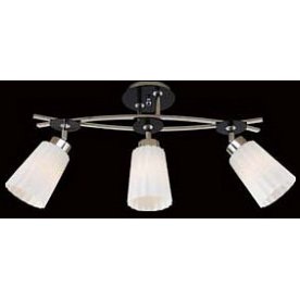 Спот Димона CL148131