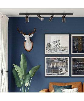 Трековый светильник CLT