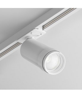 Трековый светильник TR021-1-12B4K-Z-W