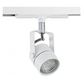 Трековый светильник Ринг CL525T10N