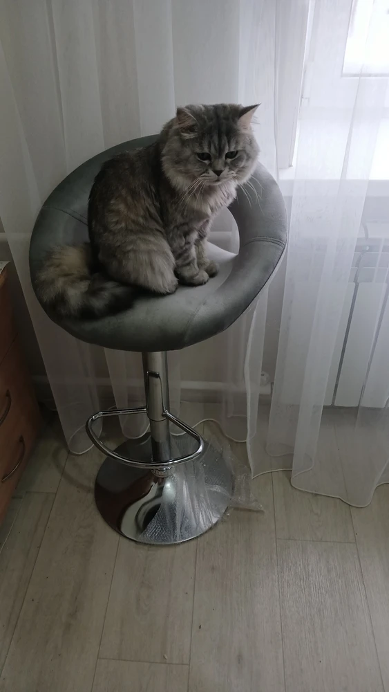 Барный стул Oazis gray fabric / chrome фото покупателя 1