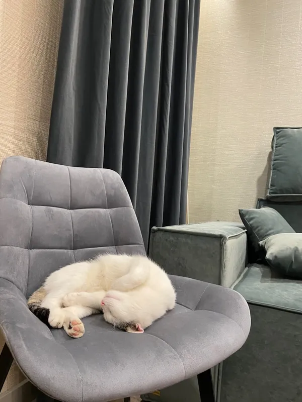 Комплект стульев Стронг 4 шт темно-серый / черный фото покупателя 91