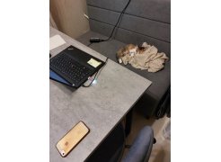 Стол Лота Лофт 120 25 мм сабия / черный матовый фото покупателя 751